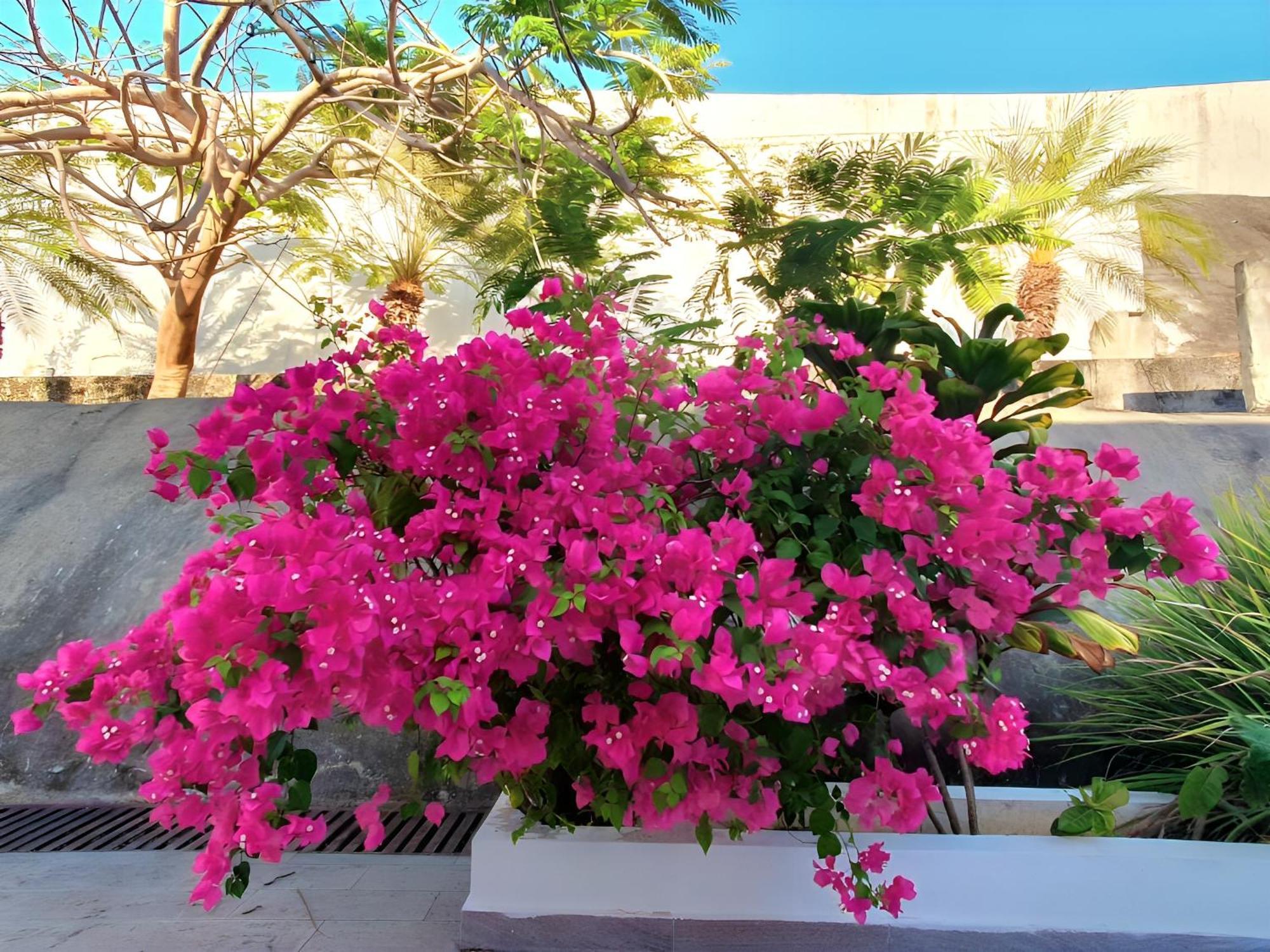 Beach Villa With Cozy Terrace Río Hato 외부 사진